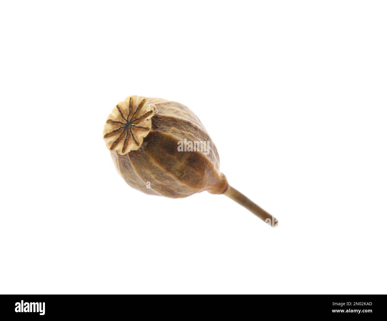 Dried poppyhead with seeds isolated on white Stock Photo