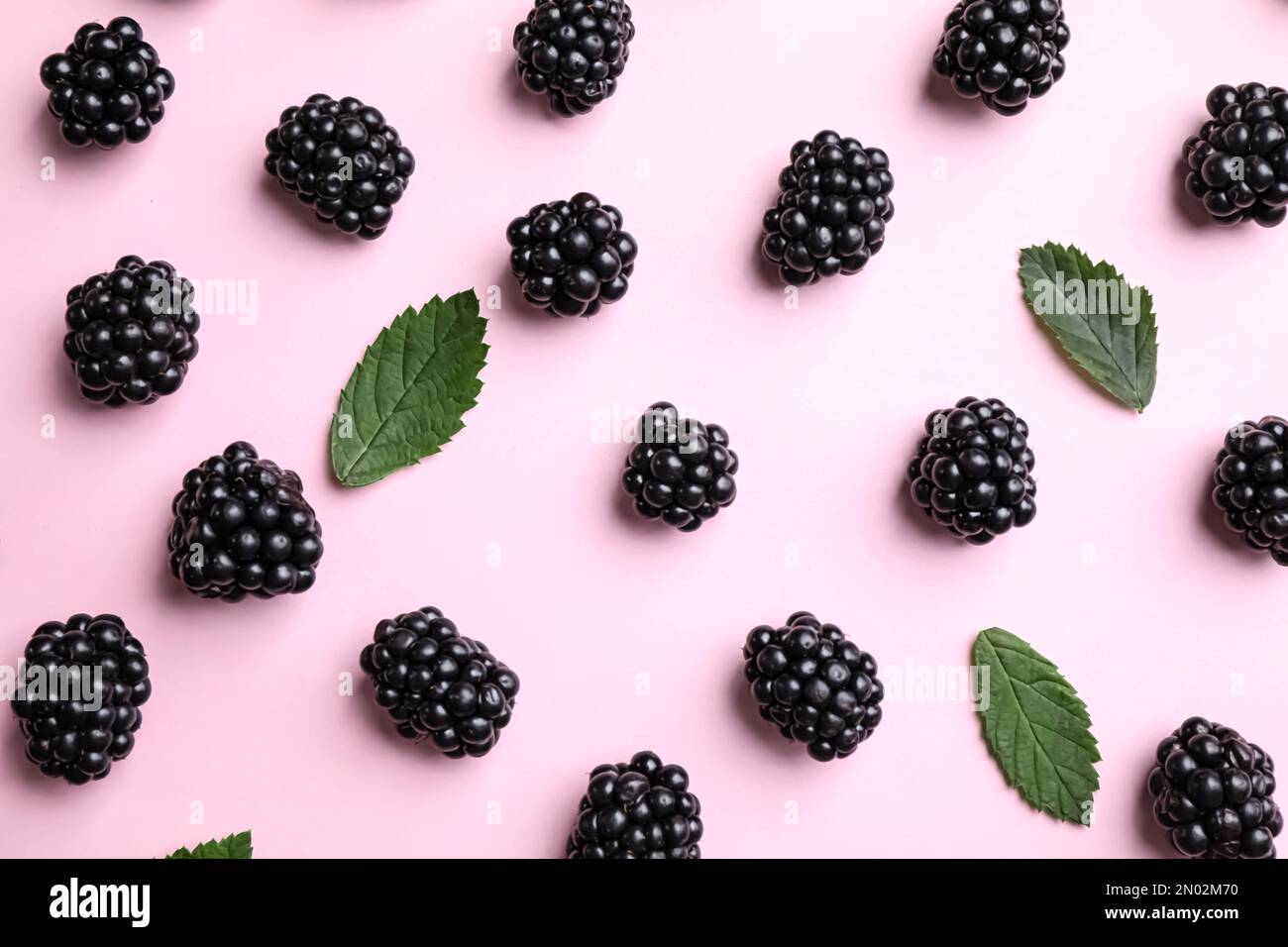 Tasty ripe blackberries and leaves on light pink background, flat lay Stock Photo