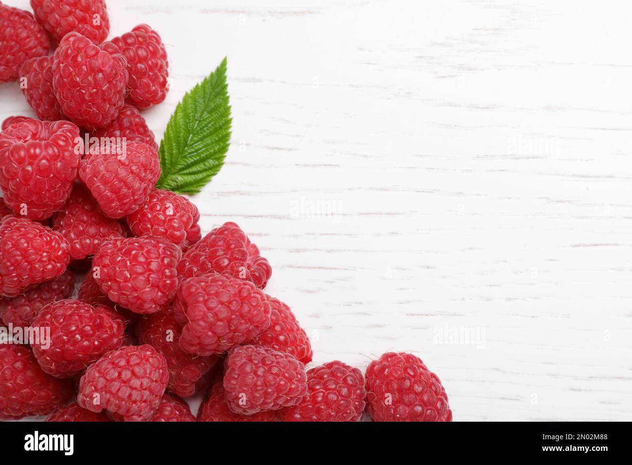 One Raspberry On A Table Delicious fresh ripe raspberries on white wooden table, top view. Space ...