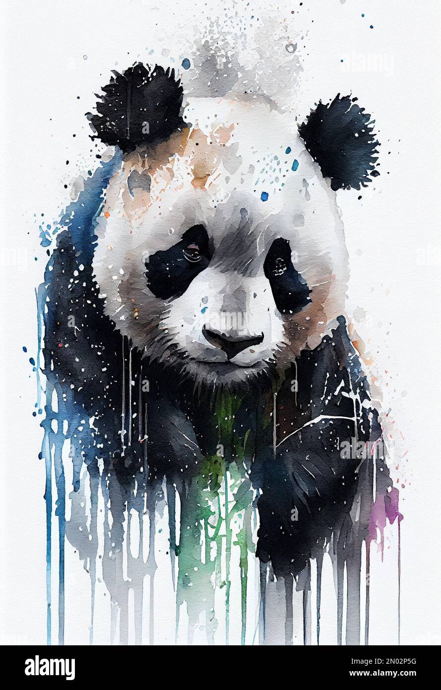 Panda bear portrait watercolor drawing. Cute animal painting, isolated ...