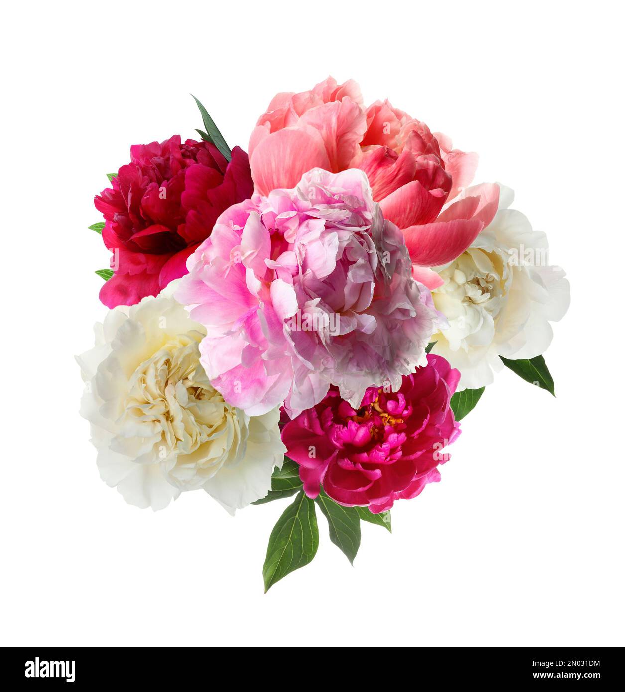 Beautiful peony flower bouquet on white background Stock Photo - Alamy