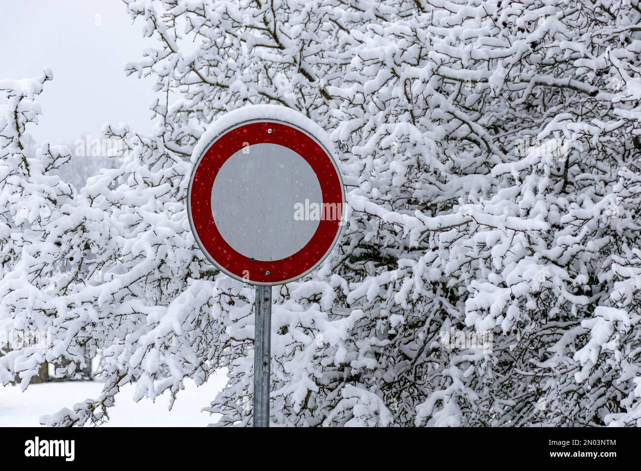 Winter Stop Sign stop sign, snowy park, snow blanket covers tree and bush branches ...