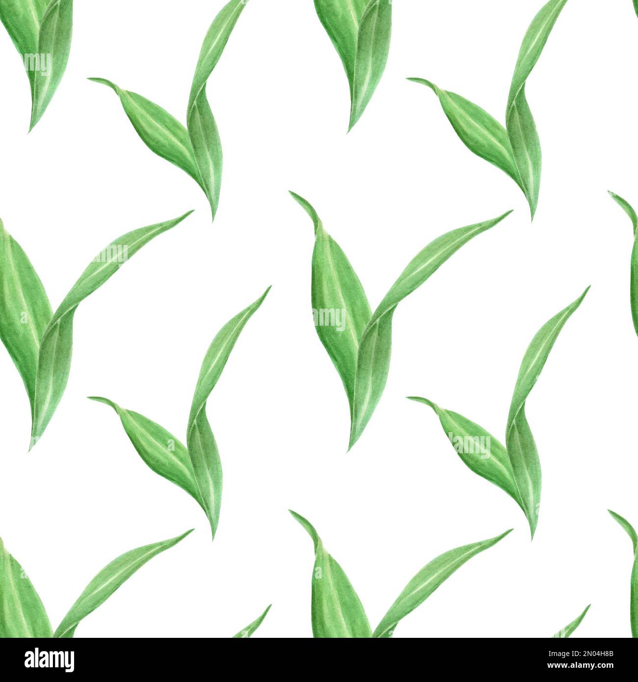 Handdrawn Watercolor green leaves seamless pattern on the white ...