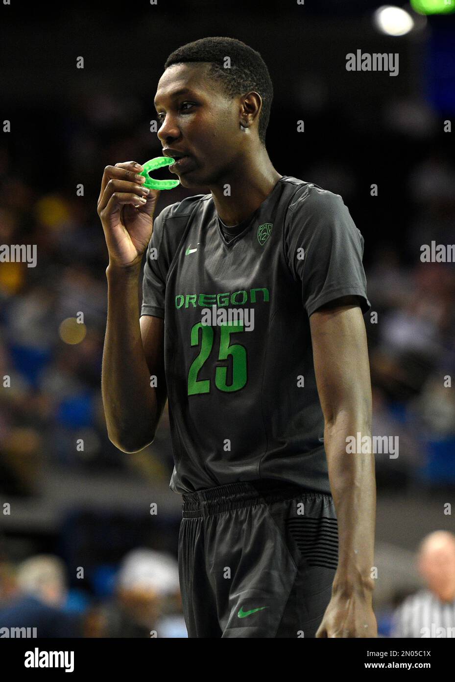 Chris Boucher - Men's Basketball - University of Oregon Athletics