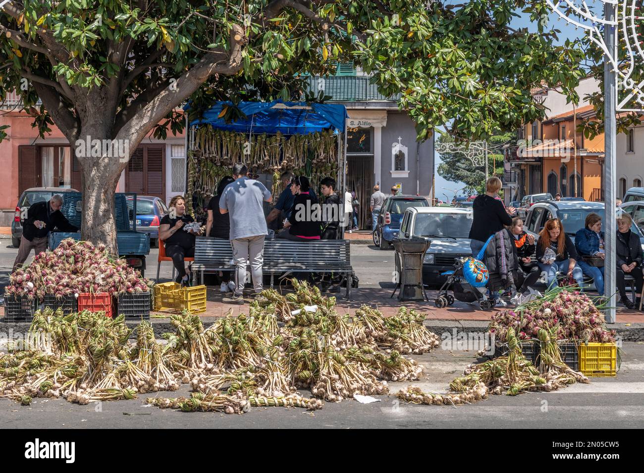 Fresh garlic for sale by the roadside in the town of Trecastagni