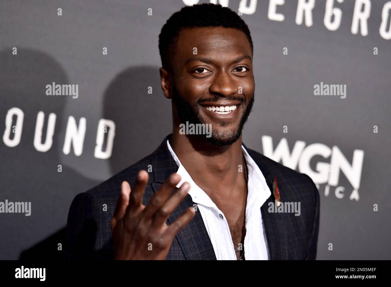 Actor Aldis Hodge arrives at the LA Premiere of "Underground" held at