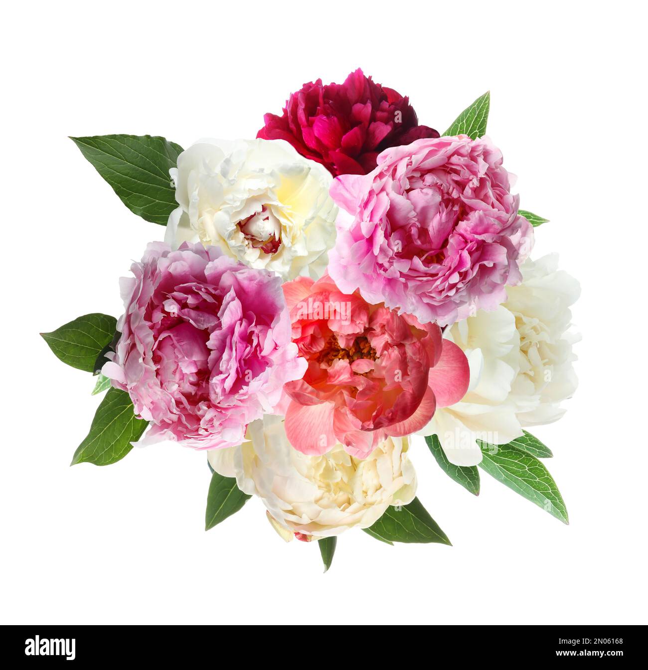 Beautiful peony flower bouquet on white background Stock Photo - Alamy