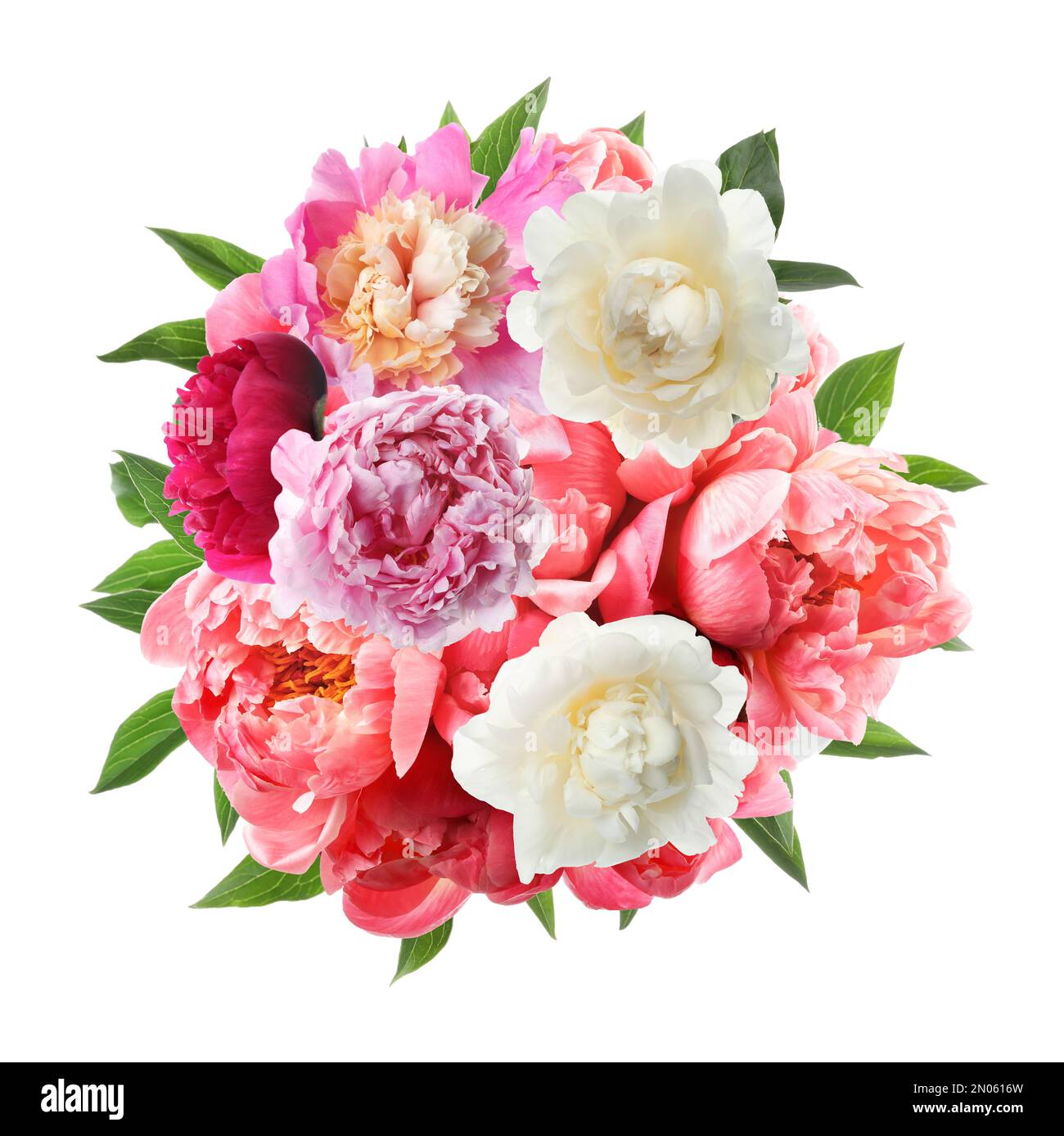 Beautiful peony flower bouquet on white background Stock Photo - Alamy