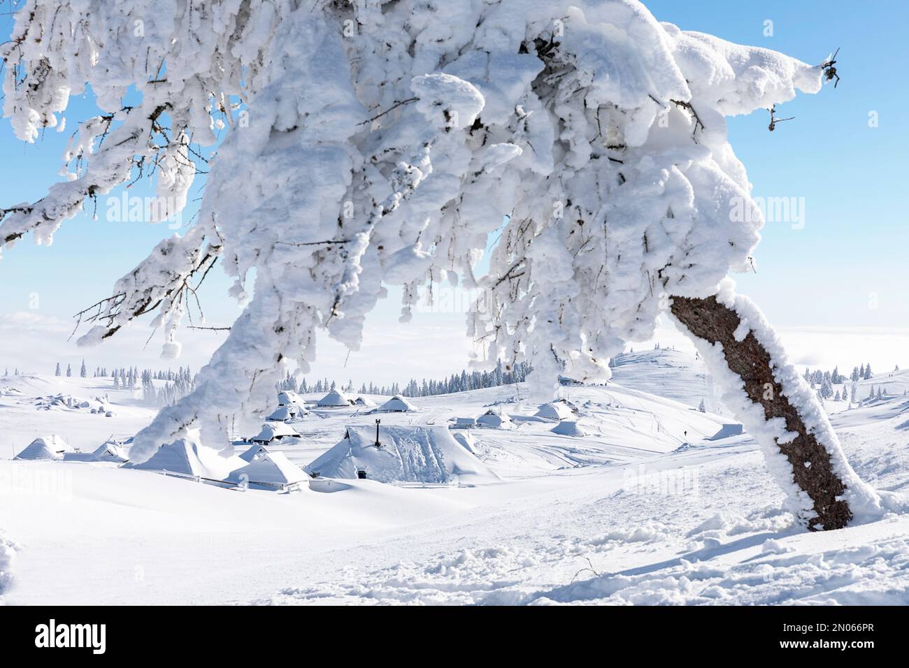 Beautiful scenery on Velika planina alpine meadow after snowfall ...