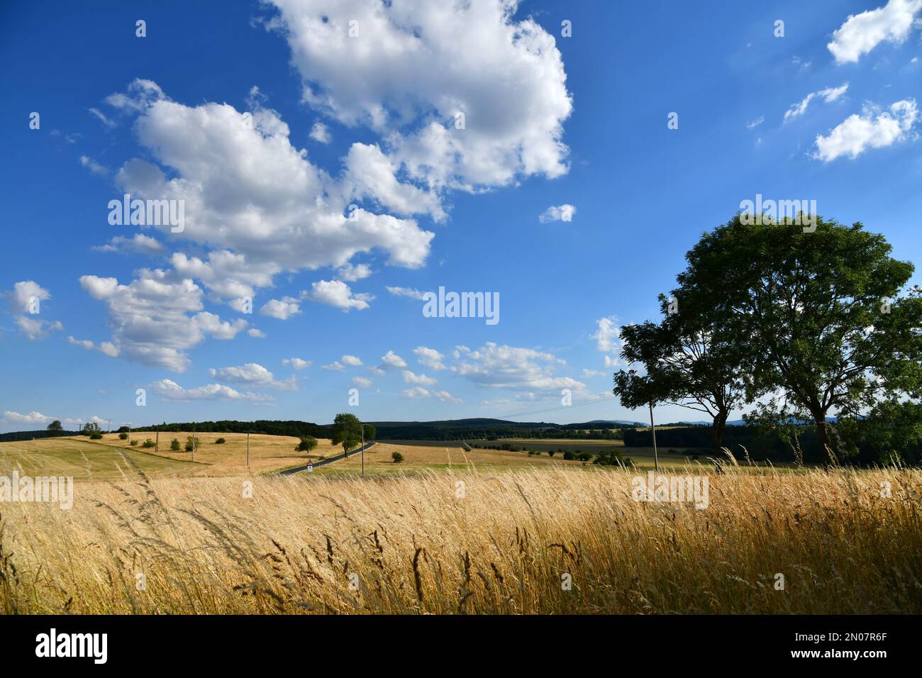 Meadow and fields in high summer temperatures Stock Photo Alamy