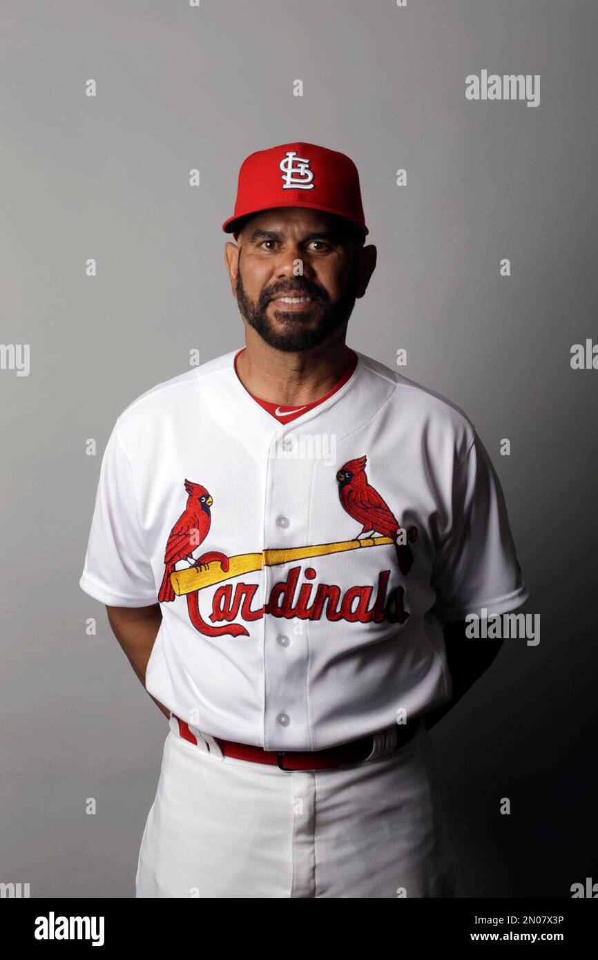 New Jersey Cardinals Baseball Stock Photo - Alamy