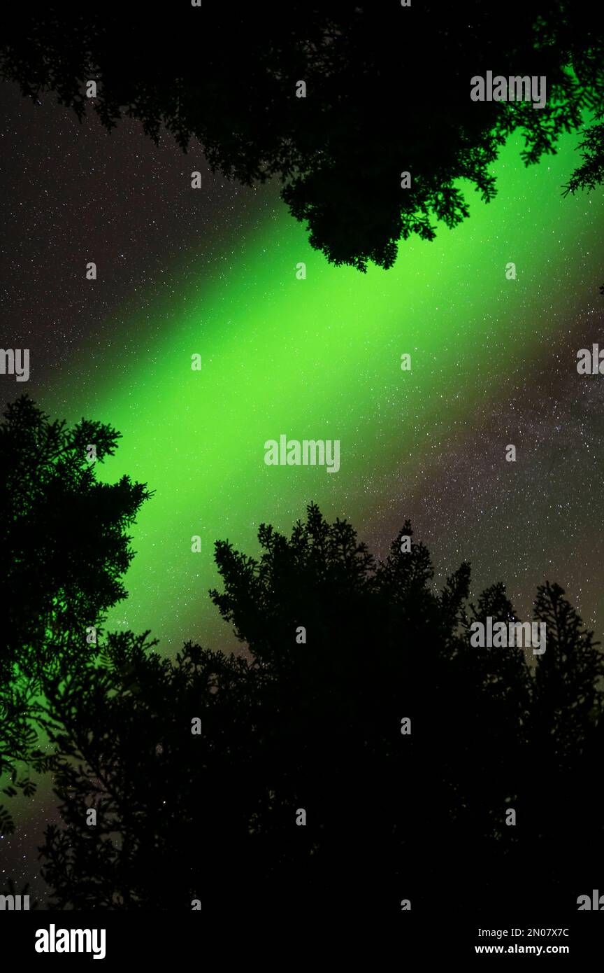 Northern lights starry sky background hi-res stock photography and ...