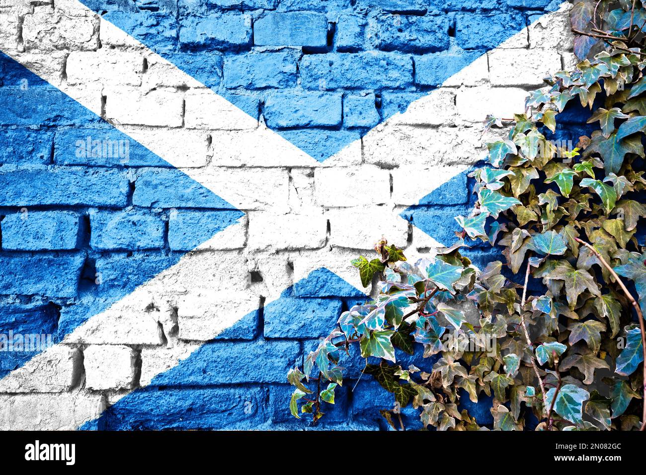 Scotland grunge flag on brick wall with ivy plant, country symbol concept Stock Photo