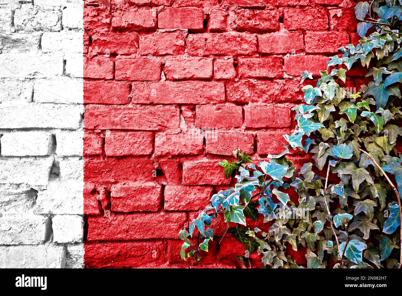 Dubai grunge flag on brick wall with ivy plant, country symbol concept Stock Photo