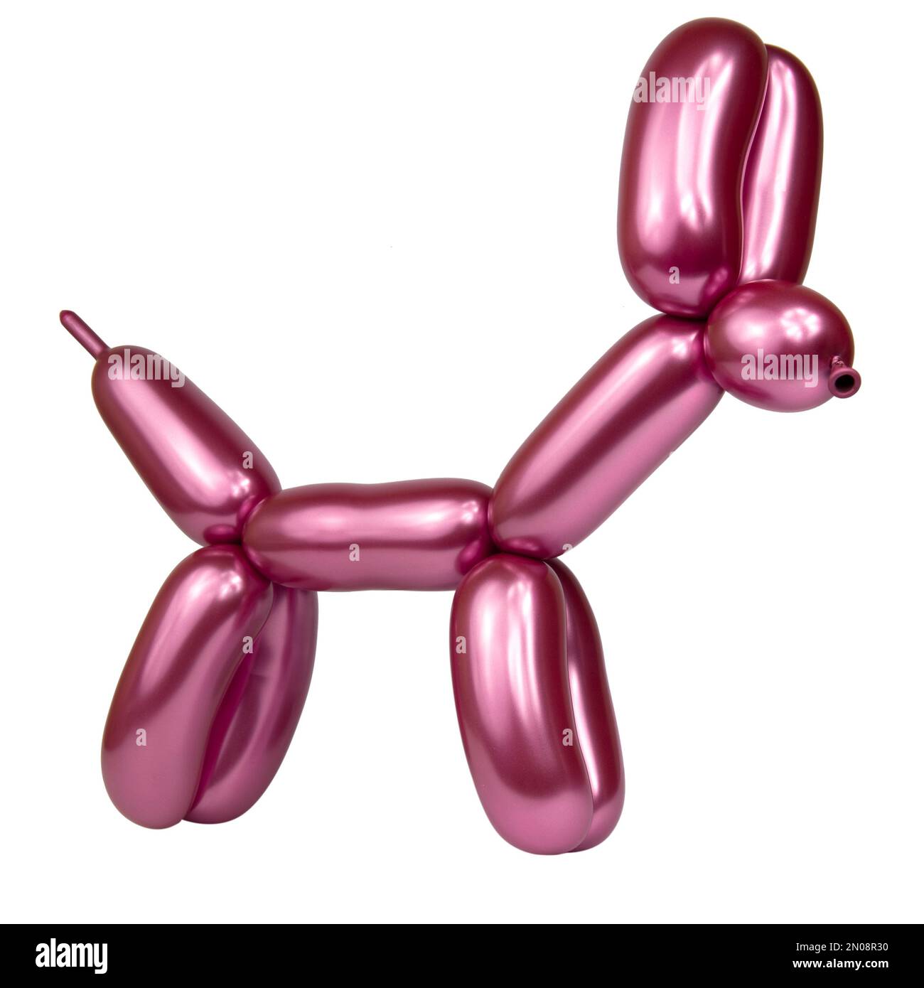 Craft festive balloon dog twisting modeling isolated on the white background Stock Photo Alamy