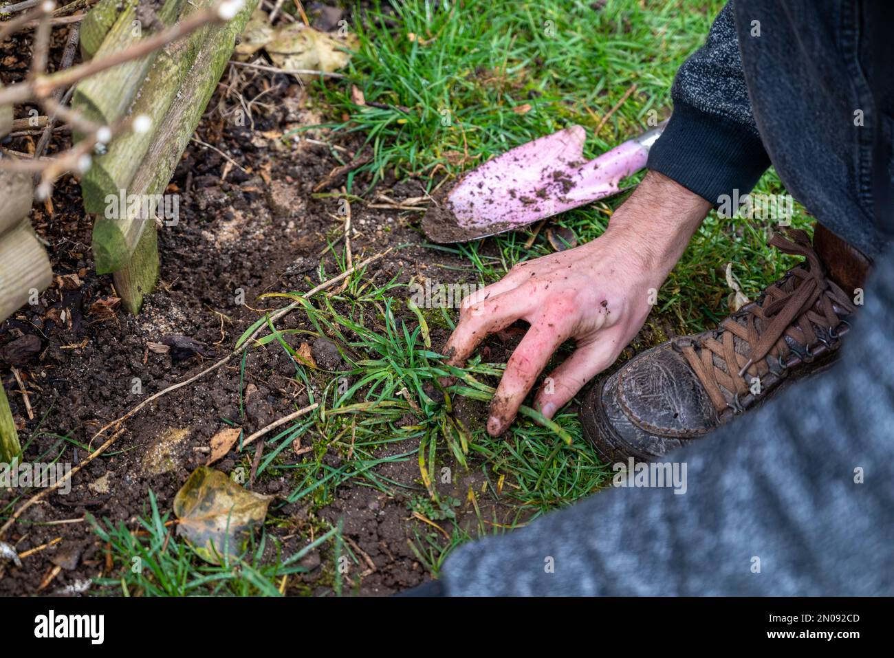 Wood for soil enrichment hires stock photography and images Alamy