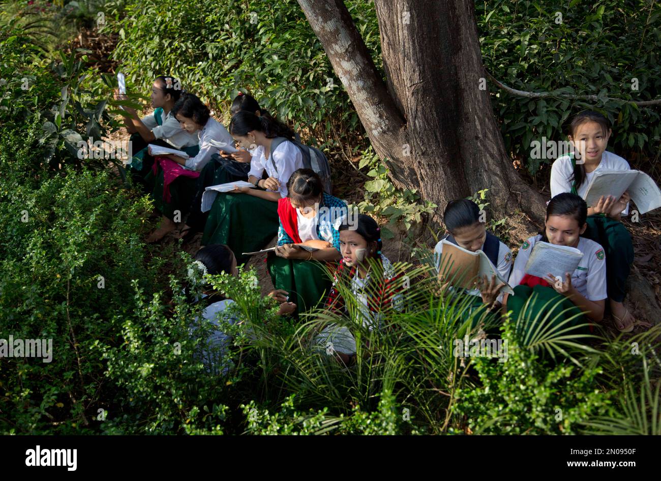 School children sit under a tree, outside an examination hall, minutes  before sitting for an examination to recite geography lessens in last-minute  preparation for the exam in suburbs of Yangon, Myanmar, Friday,