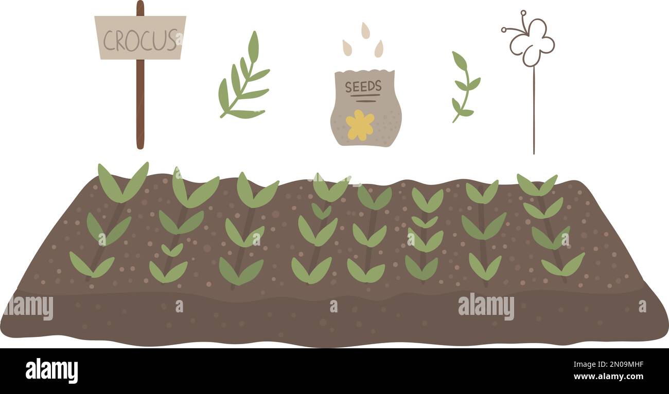 Vector bed with sprouted plants, pack with seeds, sign table isolated on white background. Flat spring garden illustration. Gardening icon Stock Vector