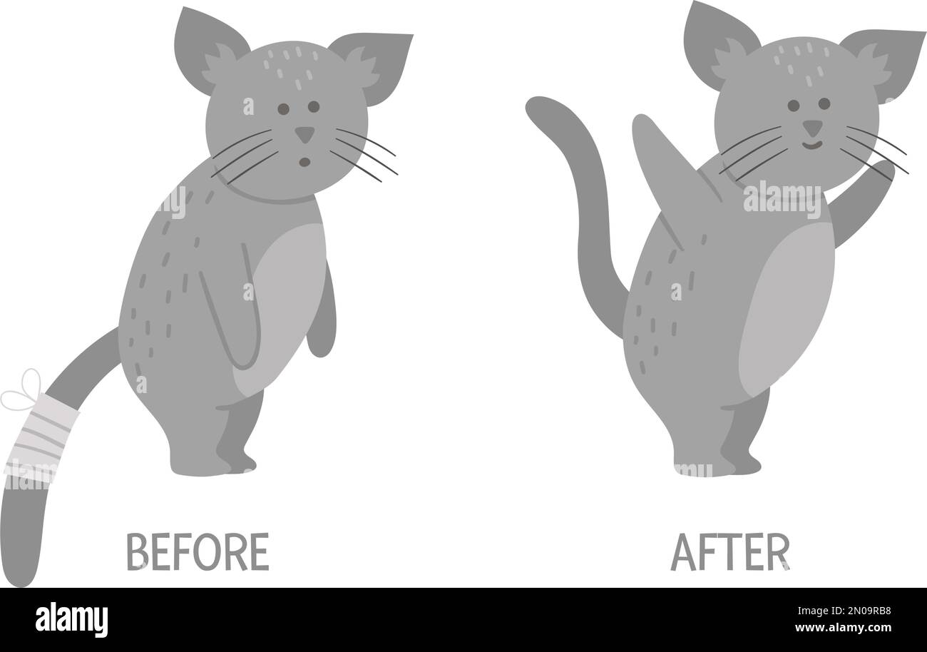 Vector ill animal versus healthy. Cute cat with bandage on its tail