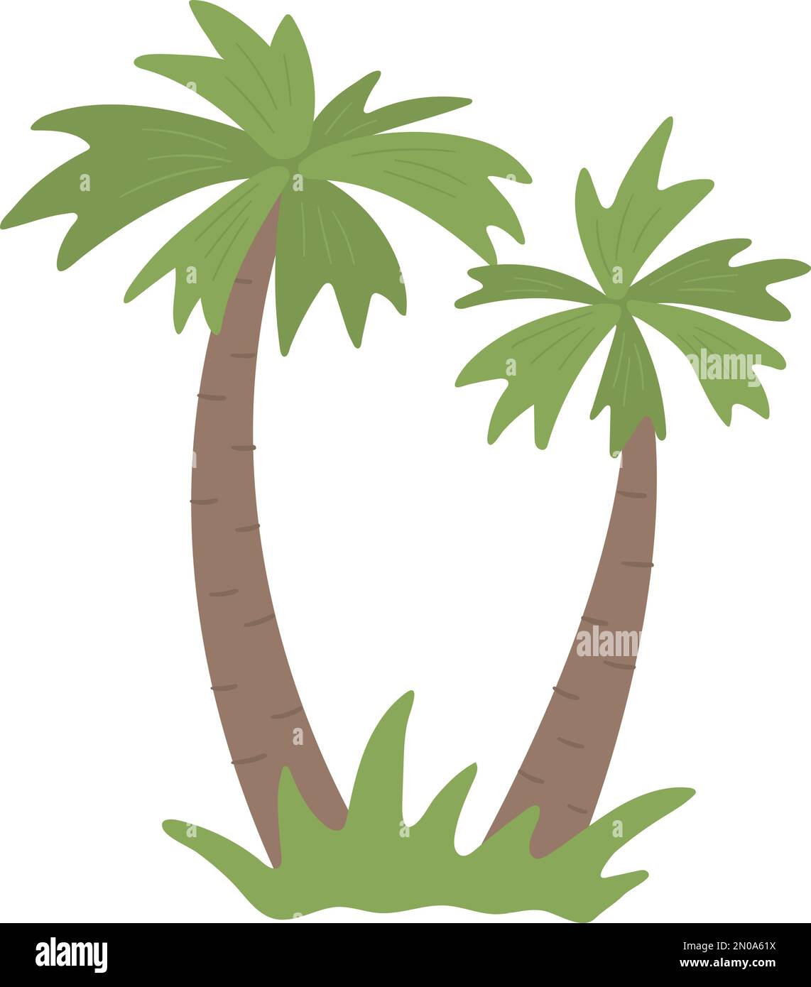 Vector tropical palm tree clip art. Jungle foliage illustration. Hand ...