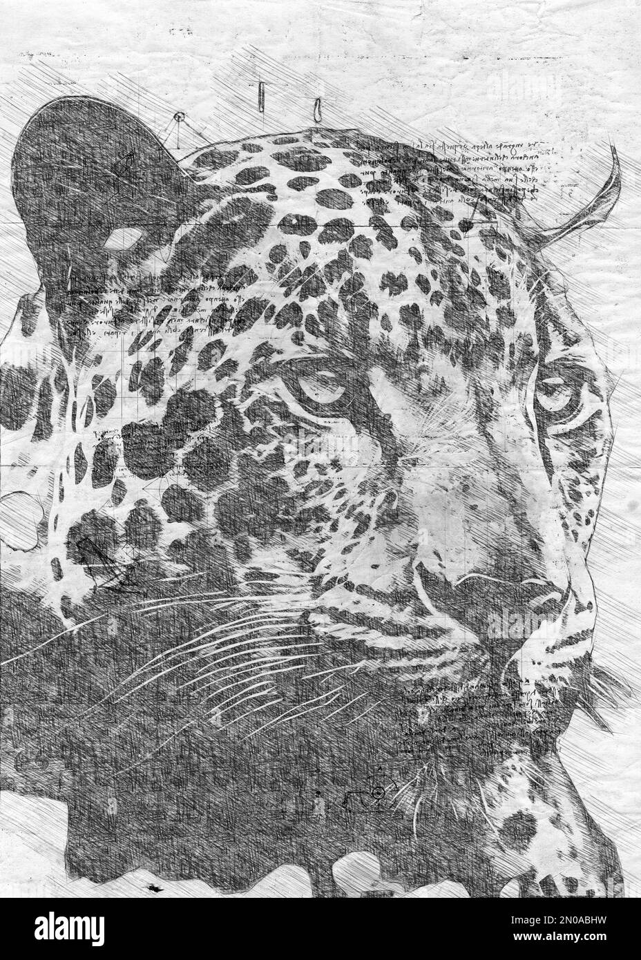 Digital illustration or sketch of a jaguar Stock Photo