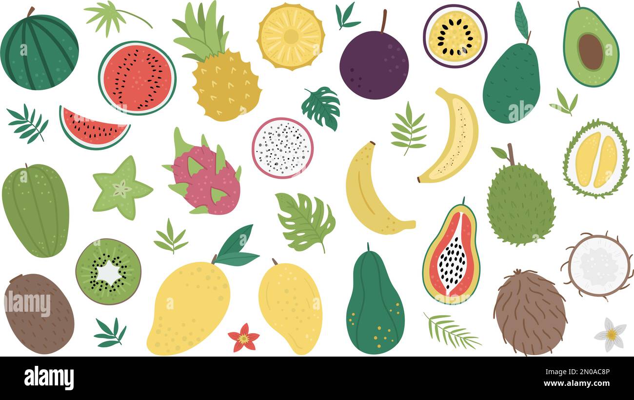 Vector tropical fruit and berries with slices and halves clip art. Jungle foliage illustration. Hand drawn flat exotic plants isolated on white backgr Stock Vector