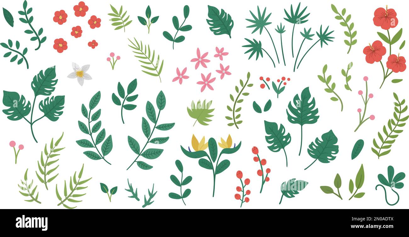 Vector tropical flowers leaves and twigs clip art. Jungle foliage and