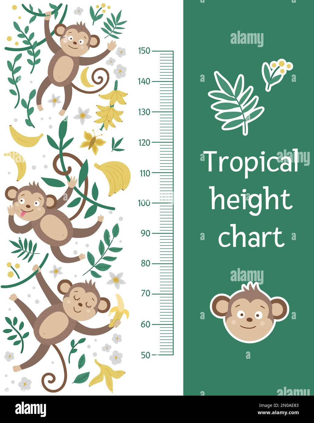 Vector cute height chart with monkey hanging on liana, bananas and