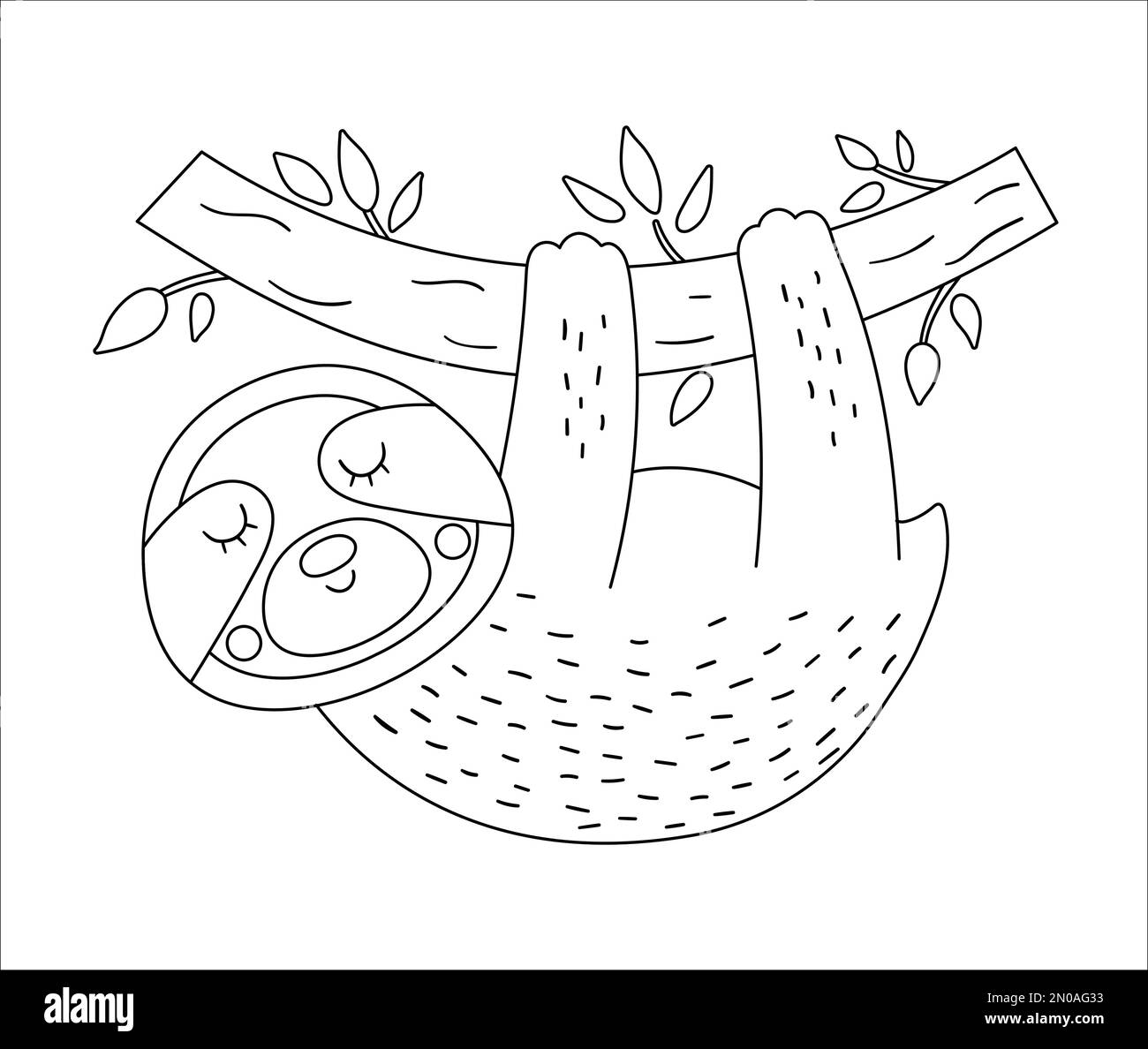 Vector cute sloth hanging on a tree brunch outline. Funny tropical