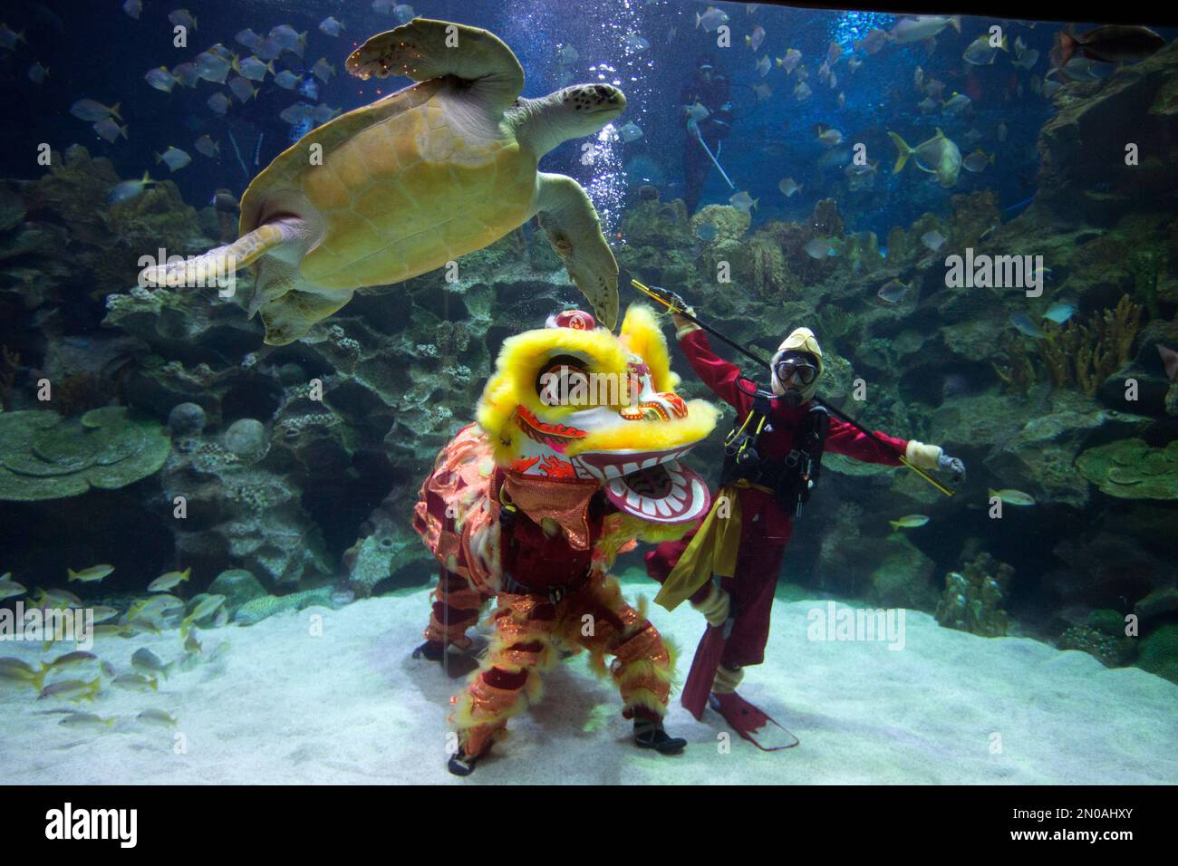 Chinese lion danceer and a diver dressed in Monkey King costume strike