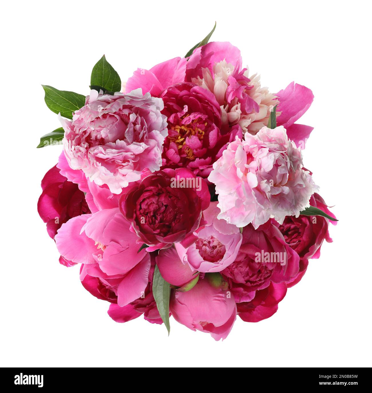 Beautiful peony flower bouquet on white background Stock Photo - Alamy