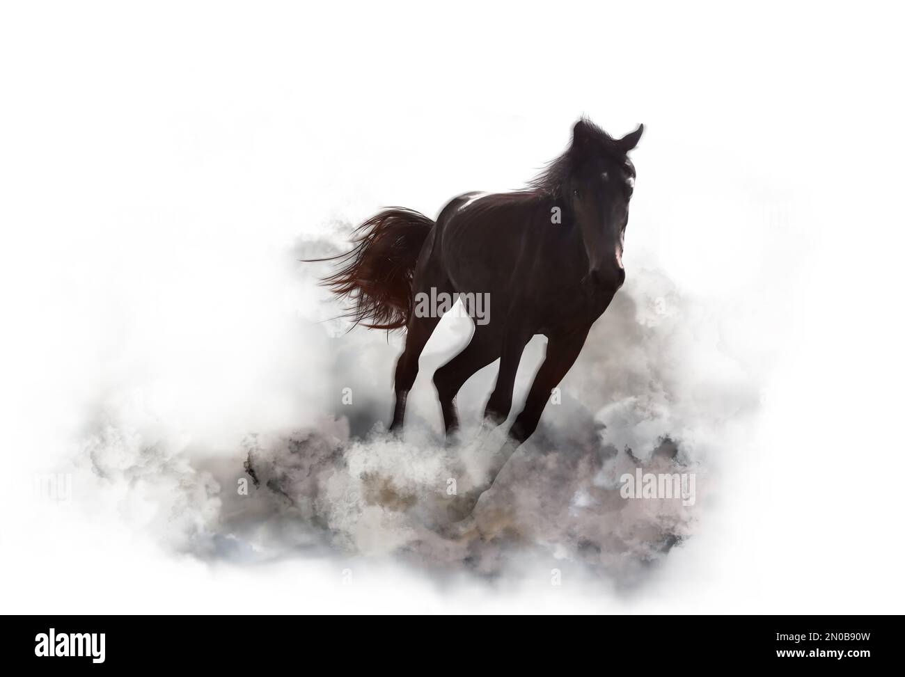 Beautiful horse kicking up dust while running on white background Stock Photo
