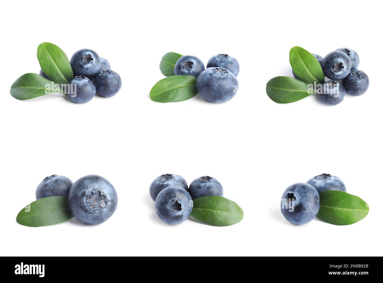 Set of fresh blueberries with green leaves on white background Stock ...