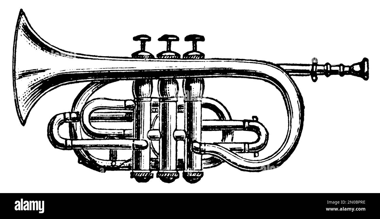 Cornet System Antique engraving of a cornet (isolated on white). Published in ...