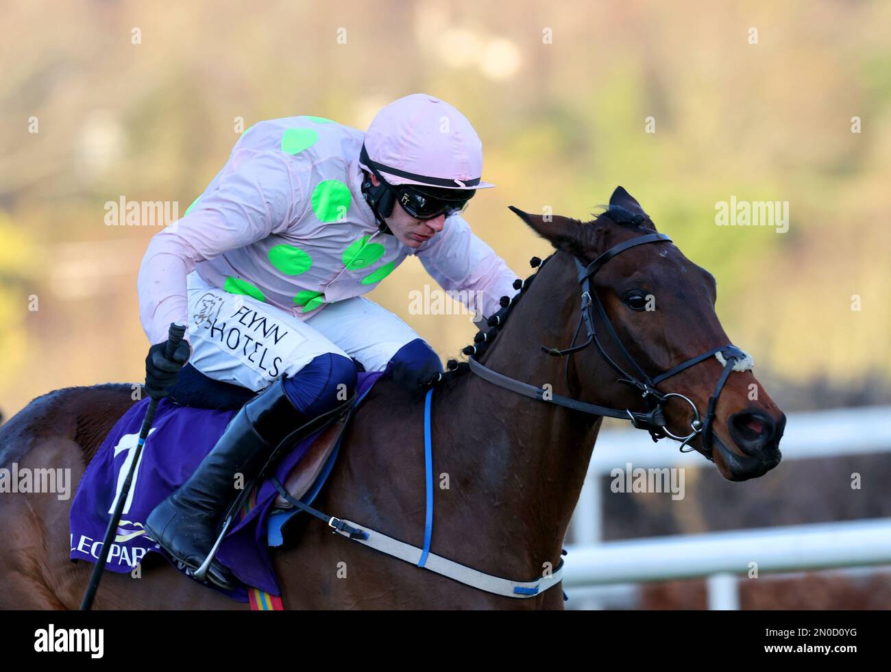 Gaelic Warrior ridden by jockey Paul Townend on their way to winning the Festina Lente Charity Liffey Handicap Hurdle during day two of the Dublin Racing Festival at Leopardstown Racecourse in Dublin, Ireland. Picture date: Sunday February 5, 2023. Stock Photo