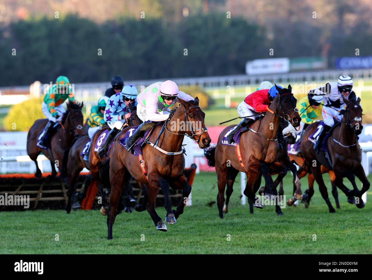 Gaelic Warrior ridden by jockey Paul Townend (pink and green silks) on their way to winning the Festina Lente Charity Liffey Handicap Hurdle during day two of the Dublin Racing Festival at Leopardstown Racecourse in Dublin, Ireland. Picture date: Sunday February 5, 2023. Stock Photo