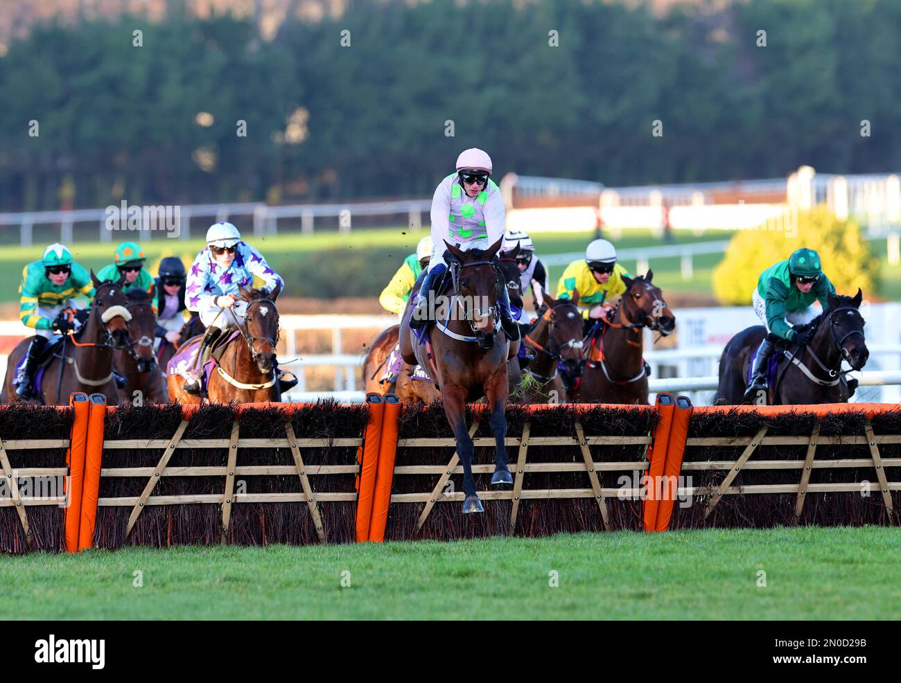 Gaelic Warrior ridden by jockey Paul Townend (centre) on their way to winning the Festina Lente Charity Liffey Handicap Hurdle during day two of the Dublin Racing Festival at Leopardstown Racecourse in Dublin, Ireland. Picture date: Sunday February 5, 2023. Stock Photo