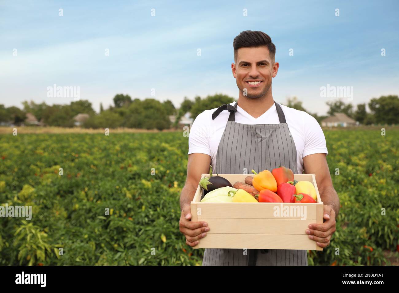Farmer with wooden crate full of different vegetables in field ...