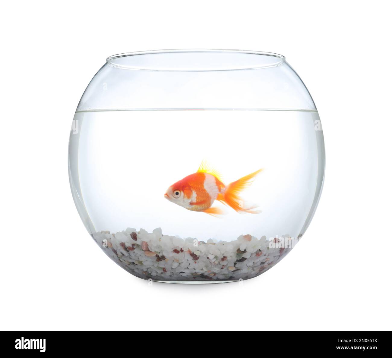 Gallery image with a fresh perspective