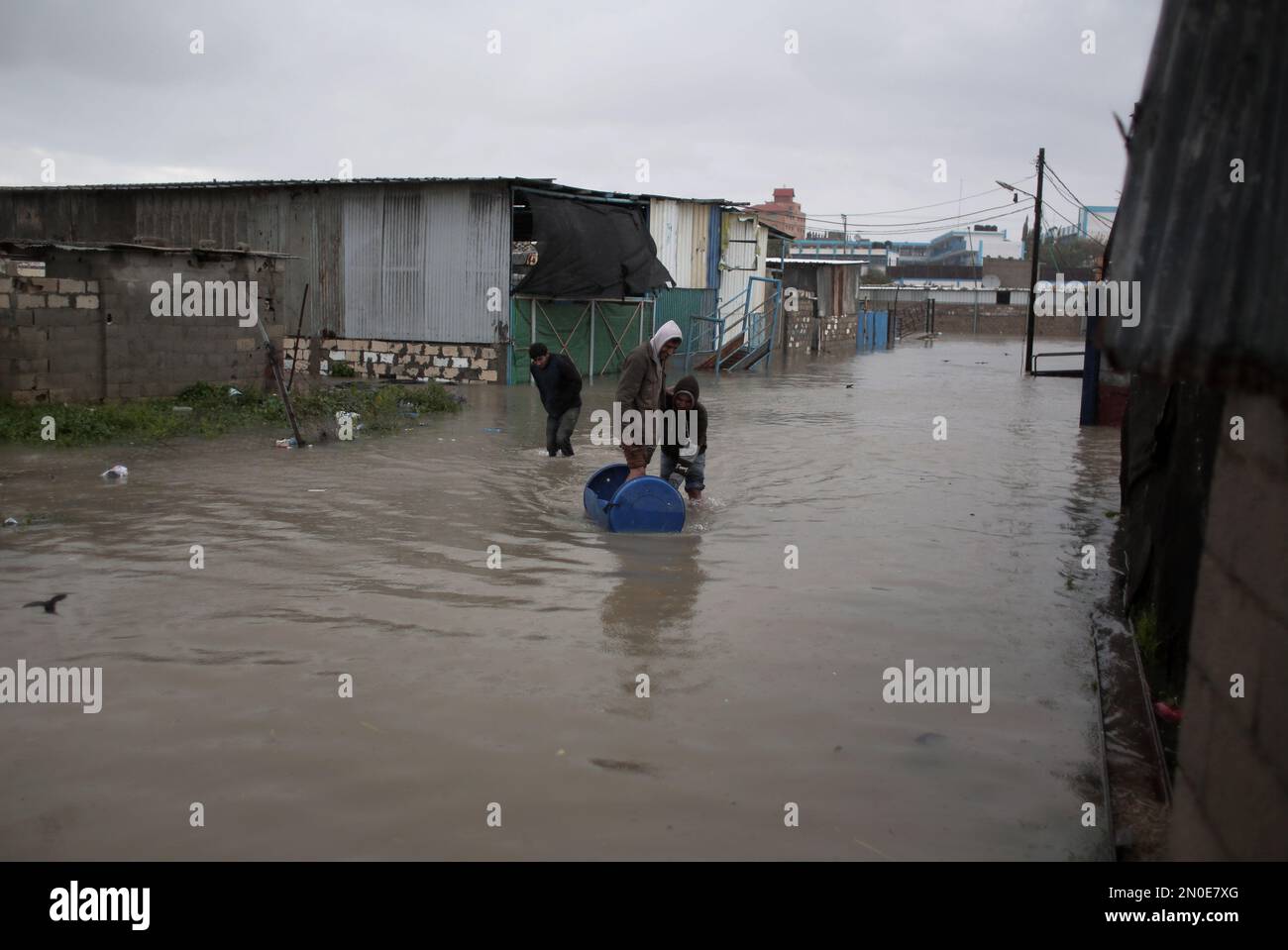 Palestinian workers wade through water to try and salvage chickens from