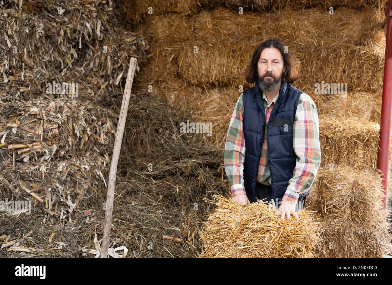 Bearded adult caucasian farmer in the hayloft. Stock Photo