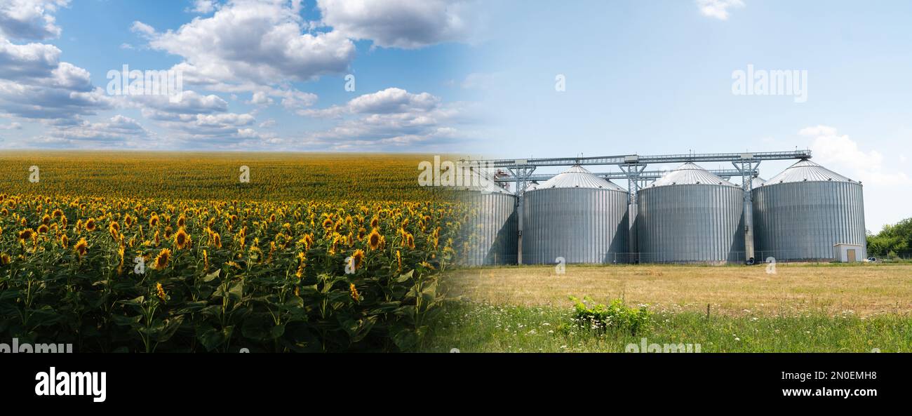 Collage of field and agricultural silos, grain elevator for storage and drying of cereals Stock Photo