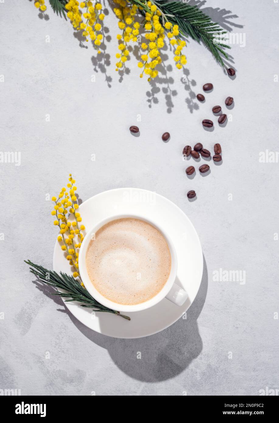 Cappuccino or latte with milk foam in a white cup on a light blue background with coffee beans and yellow mimosa flowers. Top view and copy space. Stock Photo