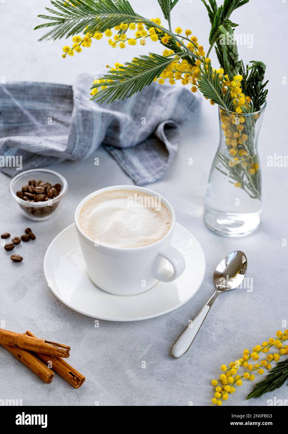 Cappuccino or latte with milk foam in a white cup on a light blue background with coffee beans, cinnamon and yellow mimosa flowers. Concept of spring Stock Photo