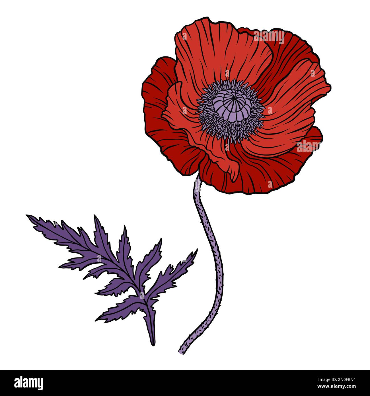 Red poppy flower. Papaver. Stem and leaf. Elements for Anzac day ...