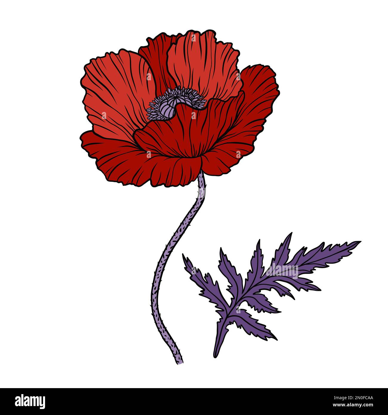 Red poppy flower. Papaver. Stem and leaf. Elements for Anzac day design ...