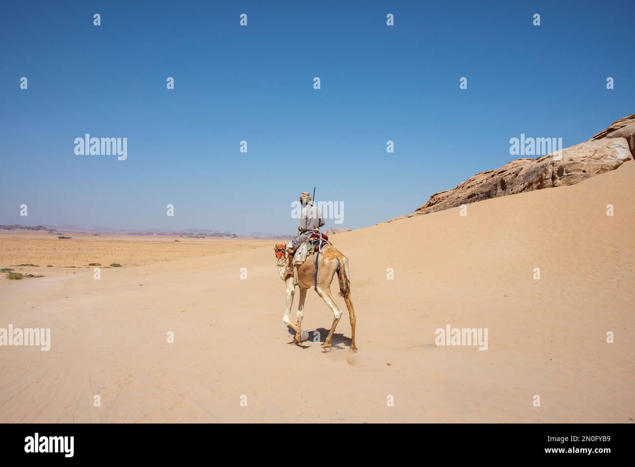 Clear sky, sable and one camel ridding in the warm desert Stock Photo