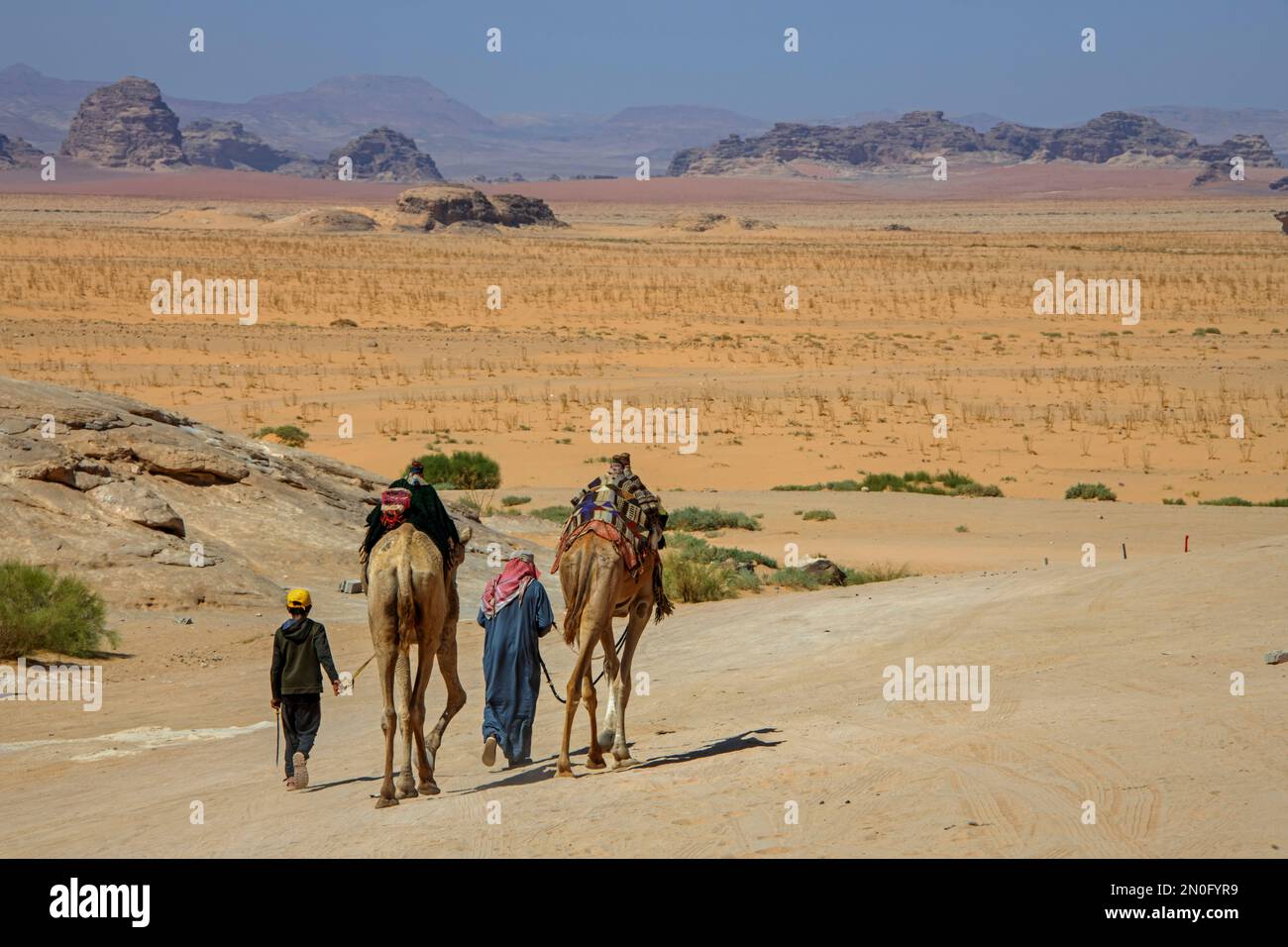 A man and a boy walking beside the camels in the beautiful landscape of the desert Stock Photo