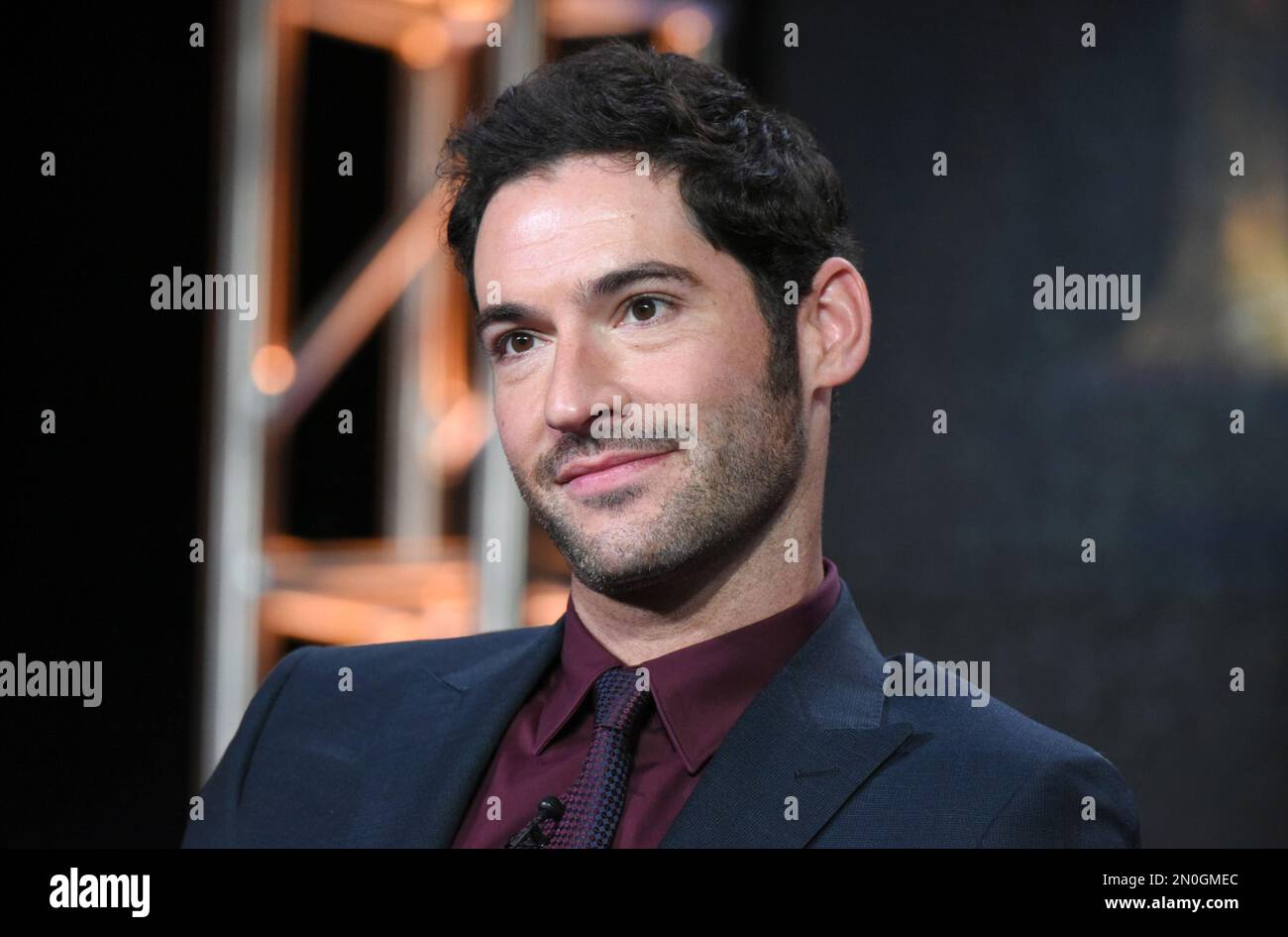 Tom Ellis participates in the "Lucifer" panel at the Fox Winter TCA on  Friday, Jan. 15, 2016, Pasadena, Calif. (Photo by Richard  Shotwell/Invision/AP Stock Photo - Alamy