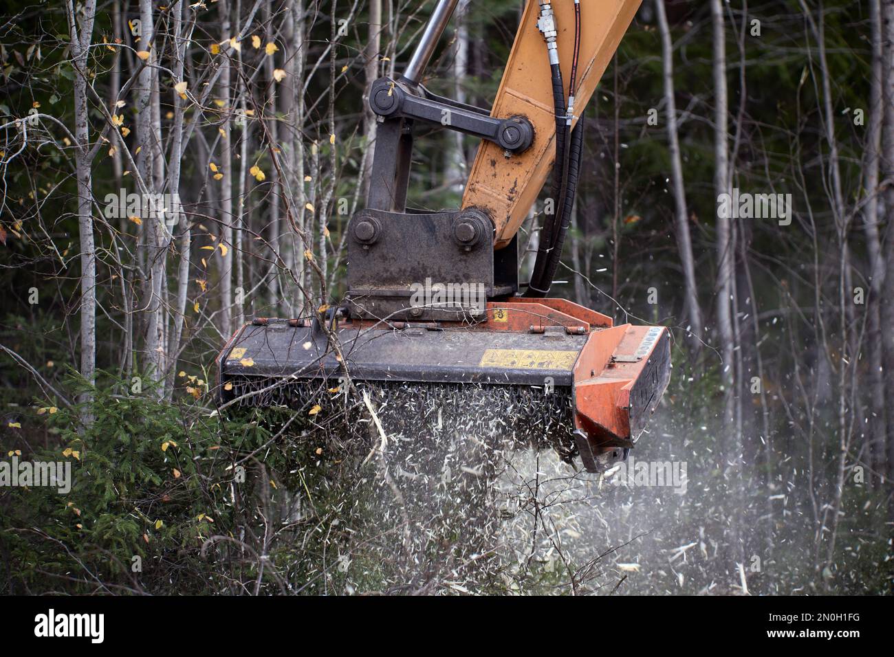 Land clearing equipment, forestry mulcher for excavator Stock Photo Alamy